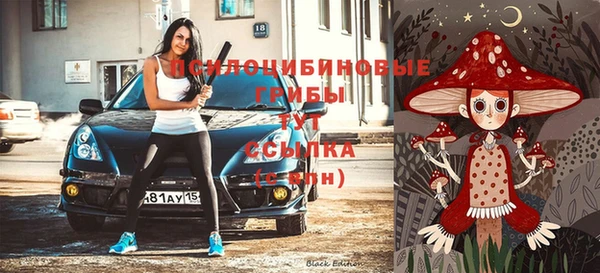 Альфа ПВП Новодвинск