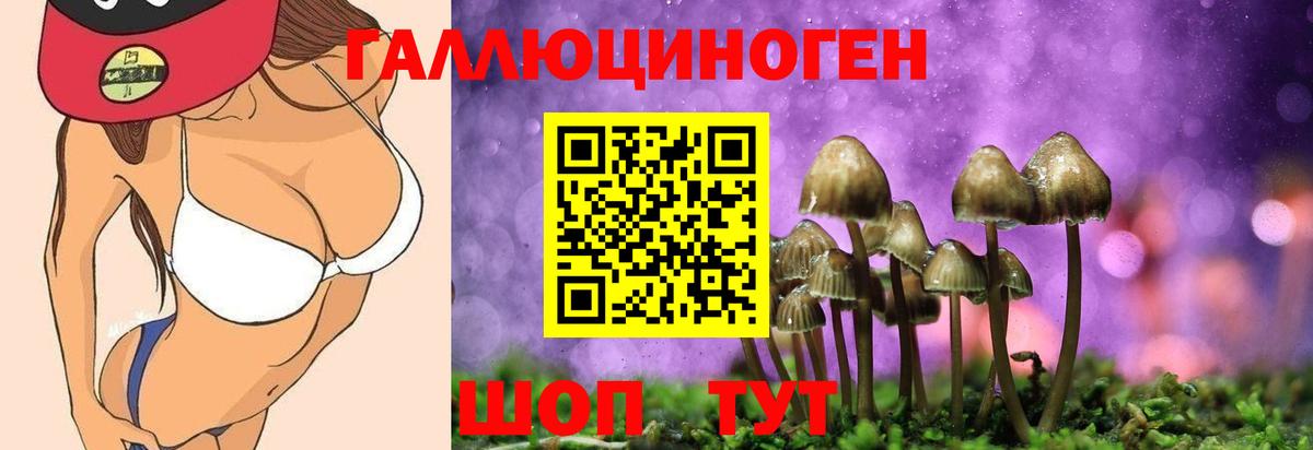 Псилоцибиновые грибы Cubensis  даркнет сайт  Галлюциногенные грибы Psilocybine cubensis  Урюпинск  Вход с VPN 